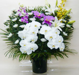 白菊タイプ 供花1基